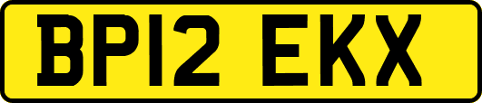 BP12EKX