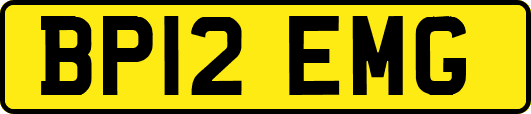 BP12EMG