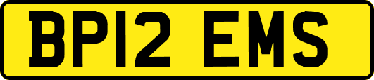 BP12EMS