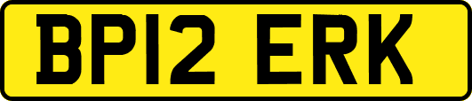 BP12ERK