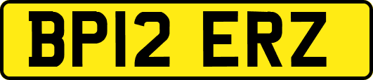 BP12ERZ