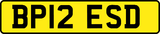 BP12ESD