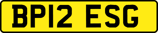 BP12ESG