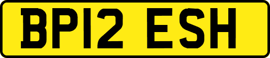 BP12ESH