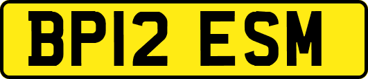 BP12ESM