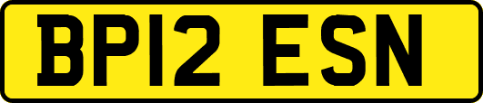 BP12ESN