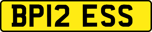 BP12ESS