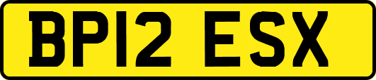BP12ESX