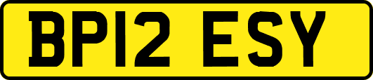 BP12ESY