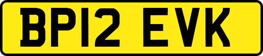 BP12EVK