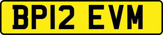 BP12EVM
