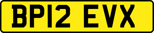 BP12EVX