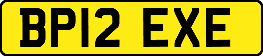 BP12EXE