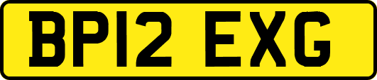 BP12EXG