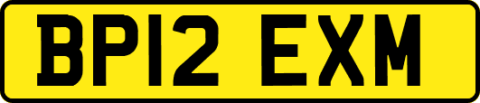 BP12EXM