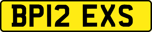 BP12EXS