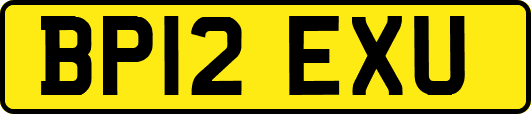 BP12EXU
