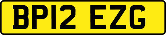 BP12EZG