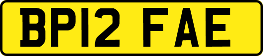 BP12FAE
