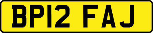 BP12FAJ