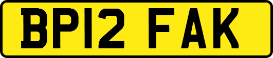 BP12FAK