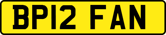 BP12FAN
