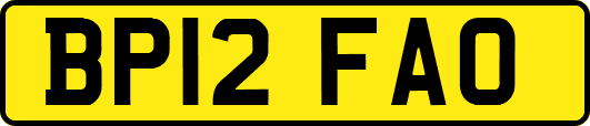 BP12FAO