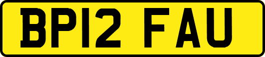BP12FAU