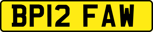 BP12FAW