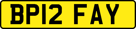 BP12FAY