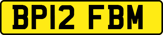 BP12FBM