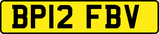 BP12FBV