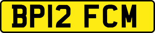BP12FCM
