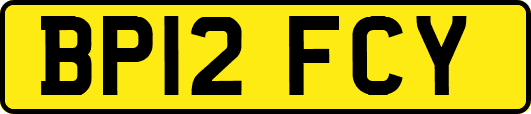 BP12FCY