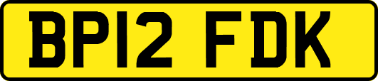 BP12FDK