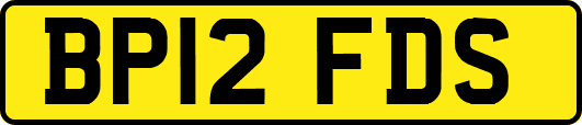 BP12FDS