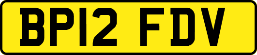 BP12FDV