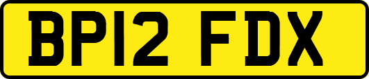 BP12FDX