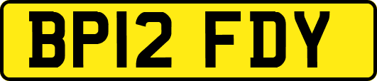 BP12FDY