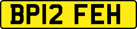 BP12FEH