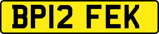 BP12FEK