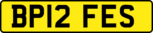 BP12FES