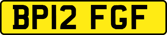 BP12FGF