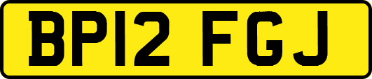 BP12FGJ