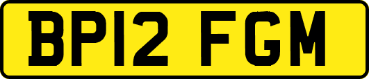 BP12FGM