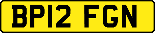 BP12FGN