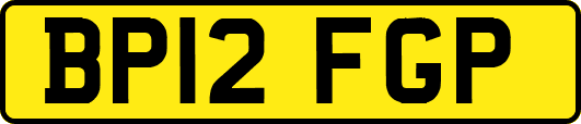 BP12FGP