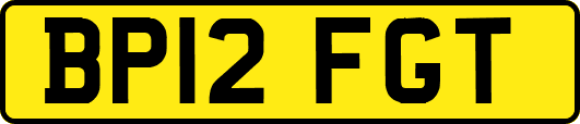 BP12FGT