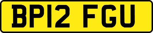 BP12FGU