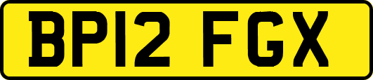 BP12FGX